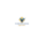 Profile picture of Veenhuizen Painting Specialties on Gweb